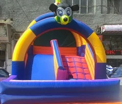 Image 30